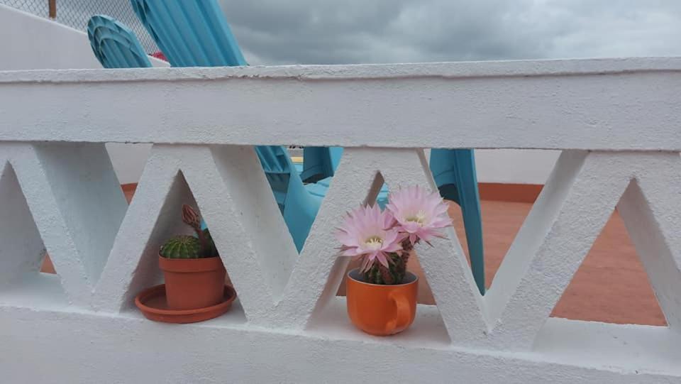 The Aqueduct Guesthouse Evora Bagian luar foto